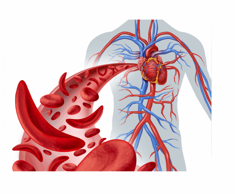 How Chest Compressions Work: The Science Behind CPR and Blood Flow